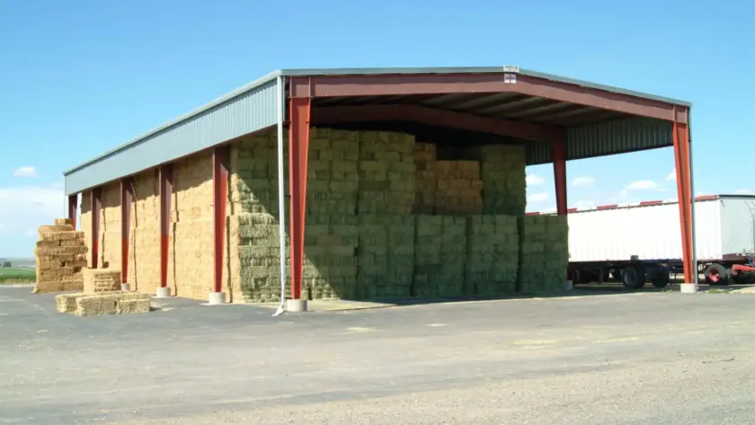 Steel Buildings vs Pole Barns: Which Lasts Longer on a Working Farm?